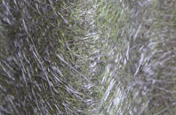 Mugeary fibreglass roof work